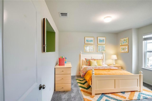 253 Beechnut Dr, Buda, TX 78610 - bedroom with carpet flooring