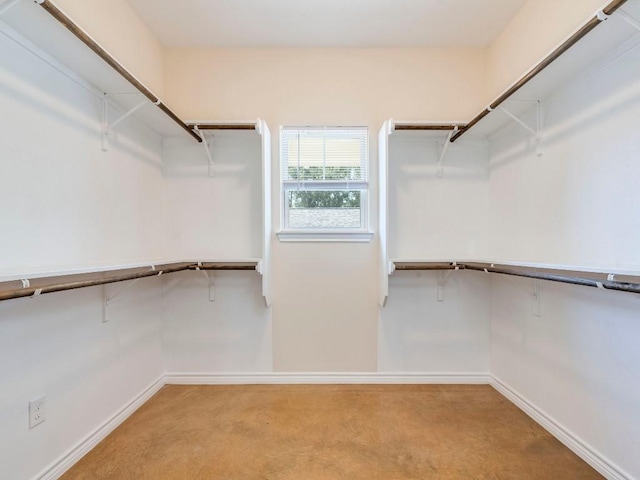 walk in closet with carpet