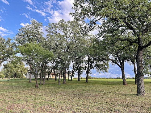 1402 Countryside Bnd, Fredericksburg, TX 78624 - view of green lawn