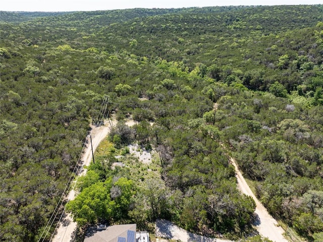 13560 Bullick Hollow Rd, Austin, TX 78726