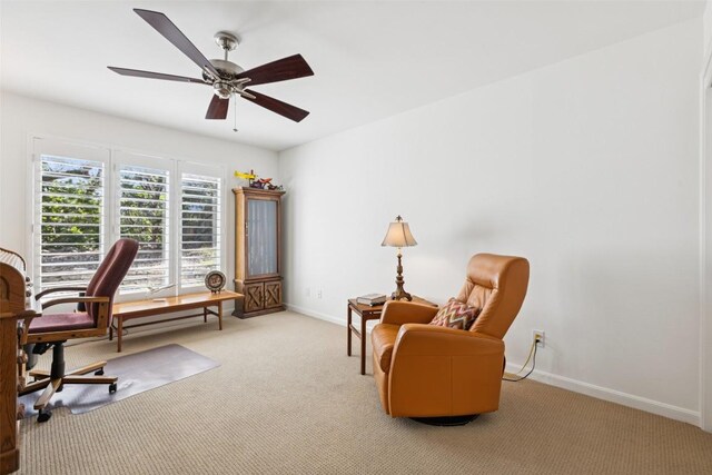 409 Malabar St, Austin, TX 78734 - photo 25