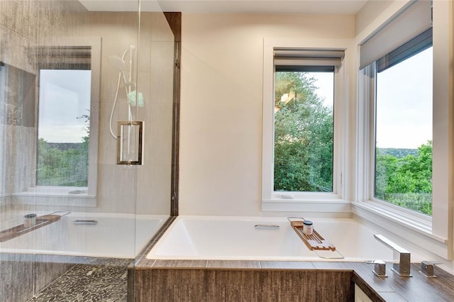 402 Buckeye Trl, West Lake Hills, TX 78746 - bathroom with healthy amount of natural light, a garden tub, and a stall shower