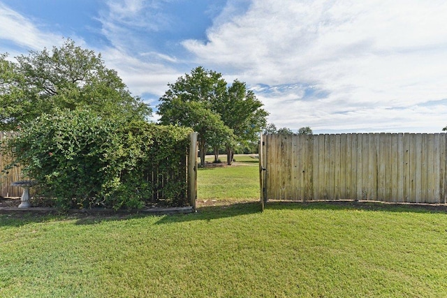 418 Rosedale Blvd, Georgetown, TX 78628 - view of yard