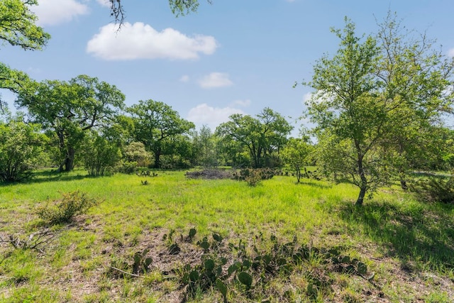 3401 Fm 2325th Rd Unit B, Wimberley, TX 78676