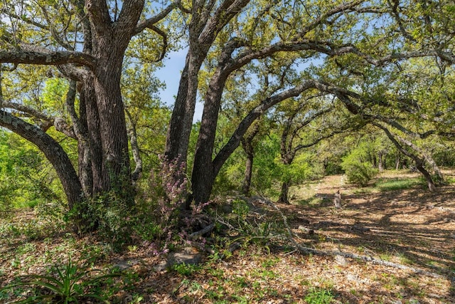 3401 Fm 2325th Rd Unit B, Wimberley, TX 78676