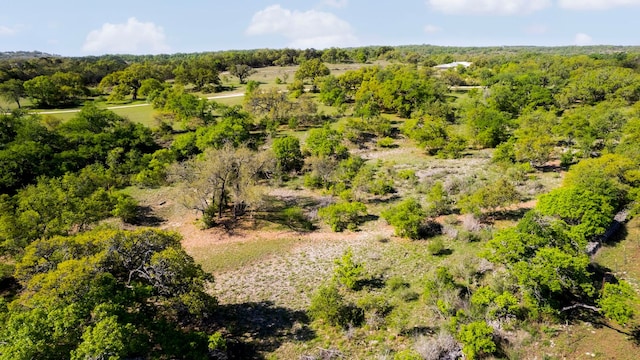 3401 Fm 2325th Rd Unit B, Wimberley, TX 78676
