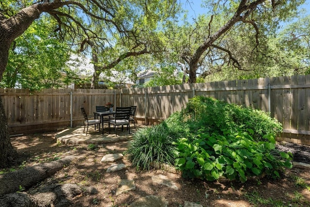 10216 Chaska Cv, Austin, TX 78739 - fenced backyard with a patio