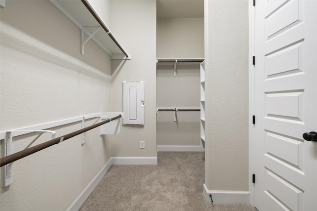 3351 Vasquez Pl, Round Rock, TX 78665 - spacious closet with carpet flooring