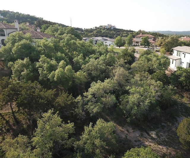 117 Brandon Way, Austin, TX 78733 - photo 8