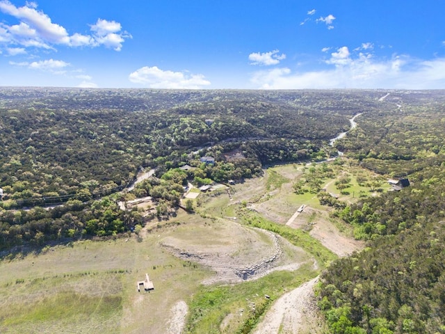 13451 Bullick Hollow Rd, Austin, TX 78726 - view of property location