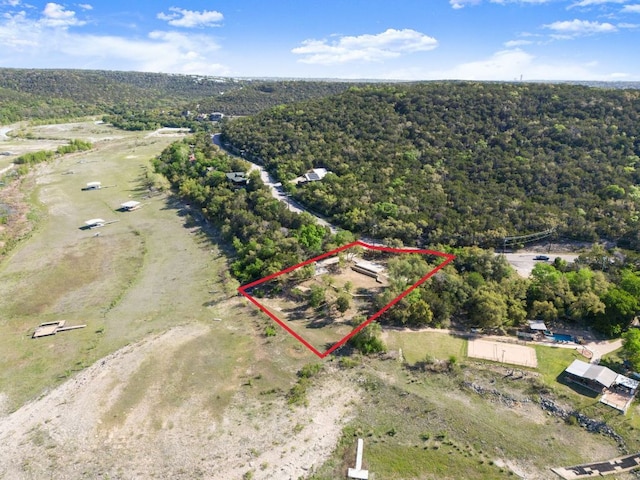 13451 Bullick Hollow Rd, Austin, TX 78726 - view of property location with a forest and property boundaries highlighted