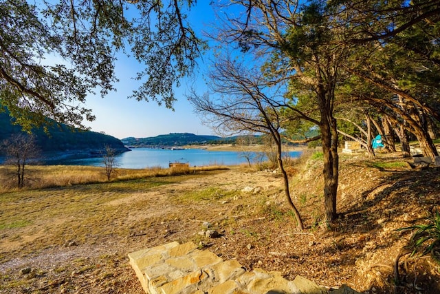 13451 Bullick Hollow Rd, Austin, TX 78726 - water view