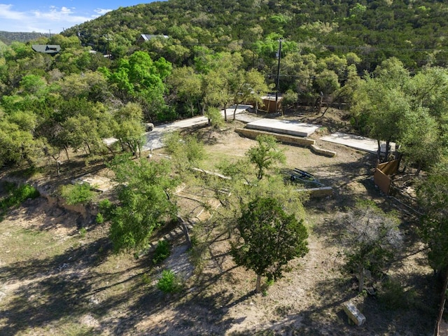 13451 Bullick Hollow Rd, Austin, TX 78726 - aerial view of property's location featuring a forest