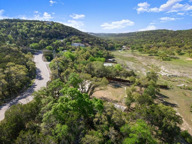 13451 Bullick Hollow Rd, Austin, TX 78726 - view of property location featuring a forest