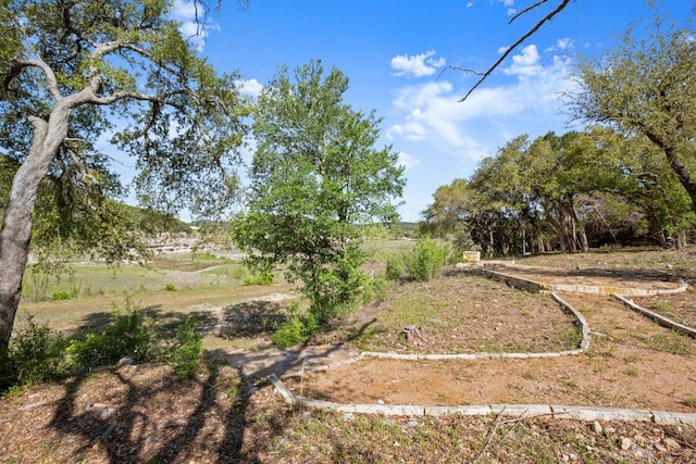 13451 Bullick Hollow Rd, Austin, TX 78726 - view of yard