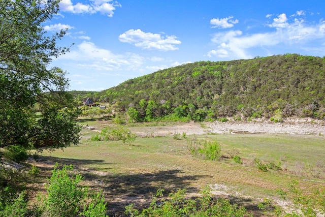 13451 Bullick Hollow Rd, Austin, TX 78726 - mountain view