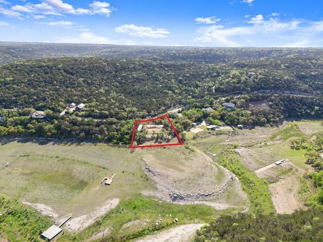 13451 Bullick Hollow Rd, Austin, TX 78726 - view of property location featuring property parcel outlined and a forest
