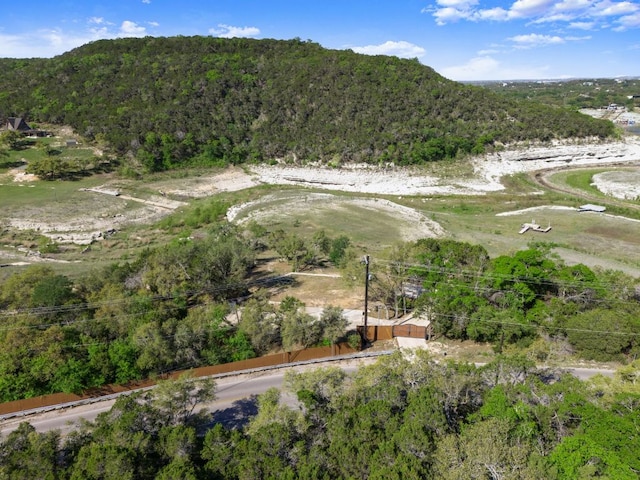 13451 Bullick Hollow Rd, Austin, TX 78726 - view of mountain backdrop with a forest