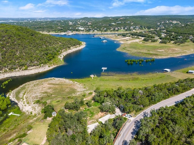 13451 Bullick Hollow Rd, Austin, TX 78726 - photo 2