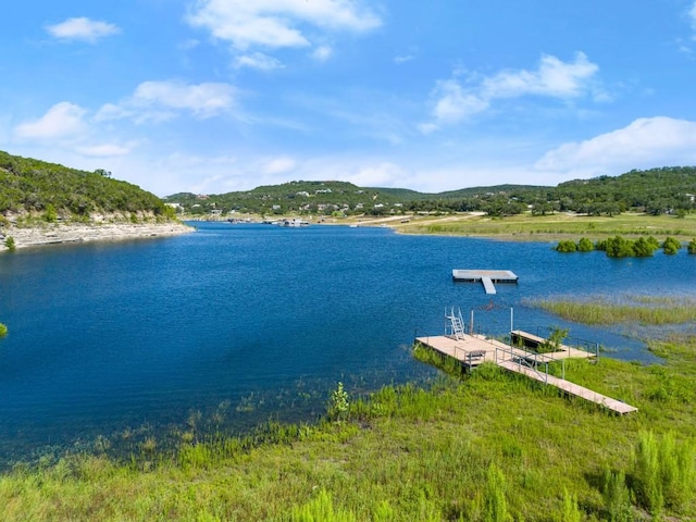 13451 Bullick Hollow Rd, Austin, TX 78726 - photo 5