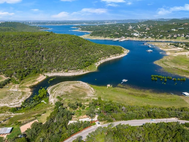 13451 Bullick Hollow Rd, Austin, TX 78726 - photo 6