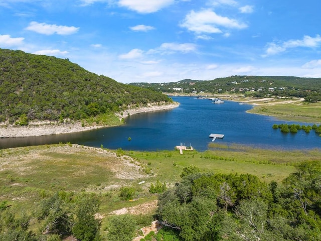 13451 Bullick Hollow Rd, Austin, TX 78726 - photo 7