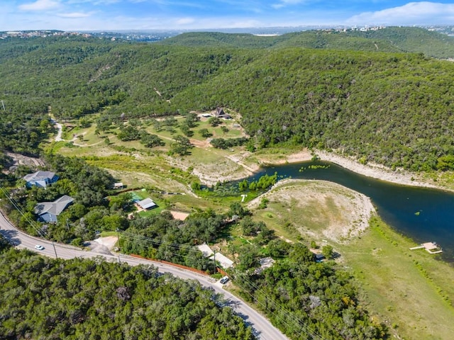 13451 Bullick Hollow Rd, Austin, TX 78726 - photo 19