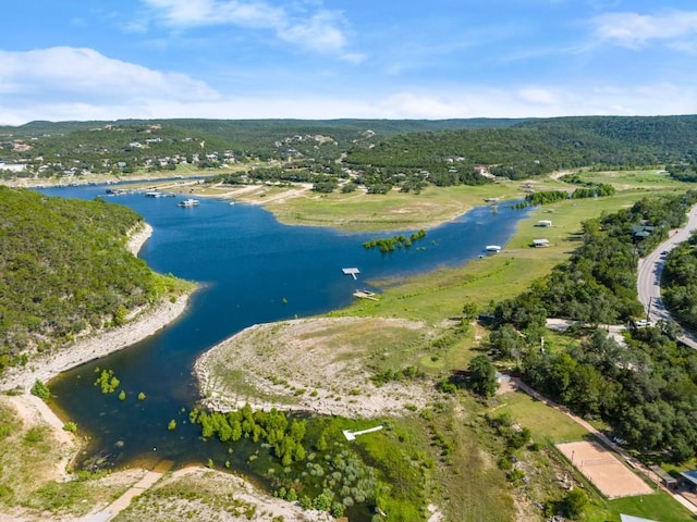 13451 Bullick Hollow Rd, Austin, TX 78726 - photo 20