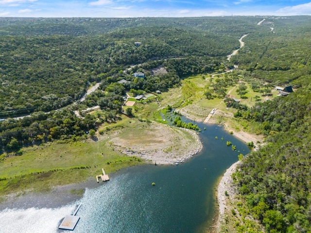 13451 Bullick Hollow Rd, Austin, TX 78726 - photo 22