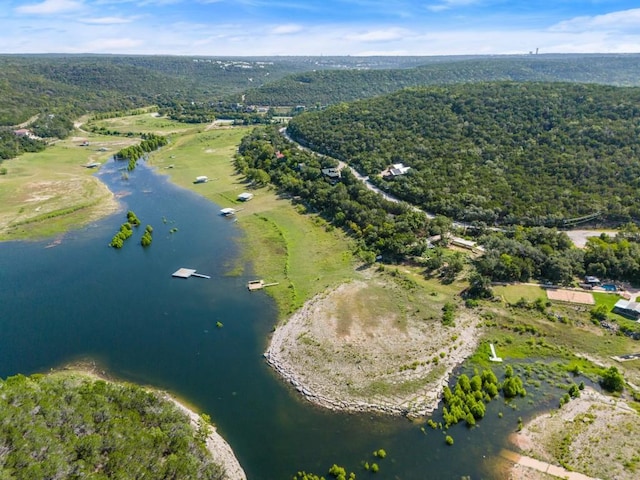 13451 Bullick Hollow Rd, Austin, TX 78726 - photo 23