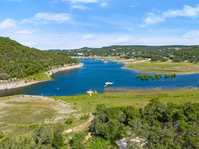 13451 Bullick Hollow Rd, Austin, TX 78726 - photo 24