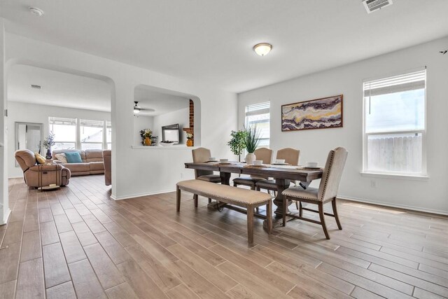 282 Crimson Ln, Kyle, TX 78640 - dining space with light wood-type flooring, ceiling fan, plenty of natural light, and baseboards