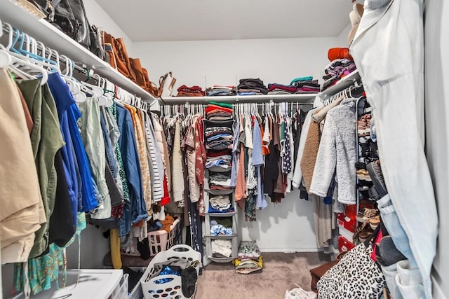 282 Crimson Ln, Kyle, TX 78640 - spacious closet featuring carpet floors