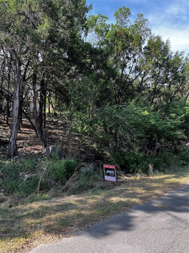 20203 Collier Ln, Lago Vista, TX 78645