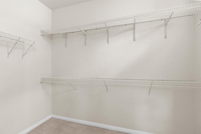 403 Dove Hollow Trl, Georgetown, TX 78633 - walk in closet with light carpet