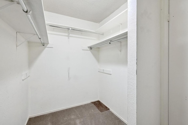 walk in closet with carpet