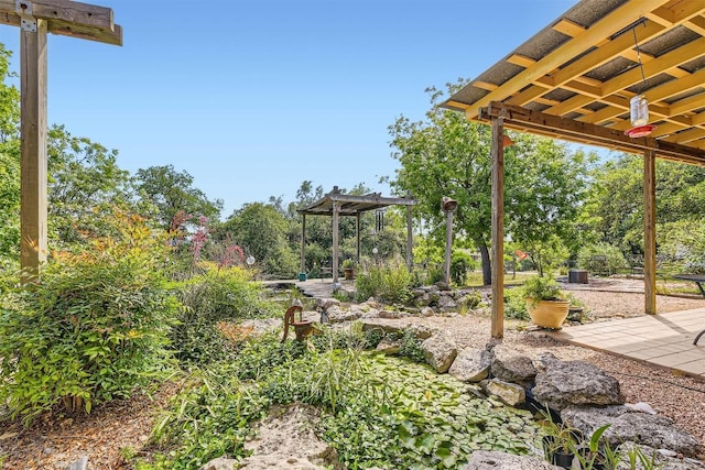 view of yard featuring a patio area