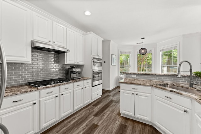 7016 Bending Oak Rd, Austin, TX 78749 - kitchen with under cabinet range hood, stainless steel appliances, a sink, white cabinetry, and tasteful backsplash