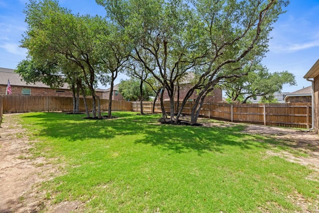 537 Appalachian Trl, Leander, TX 78641 - view of yard