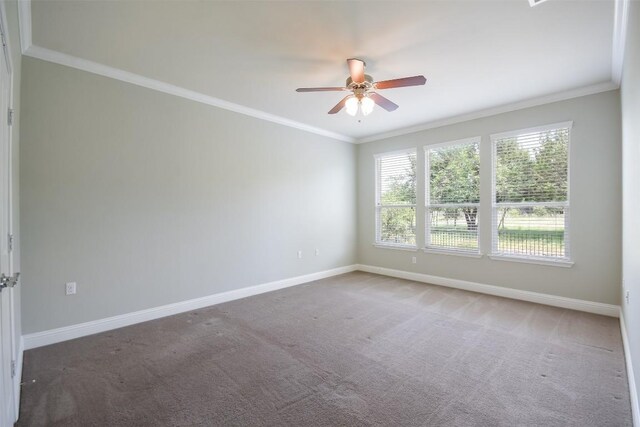 111 Bear Creek Ln, Georgetown, TX 78633 - photo 13