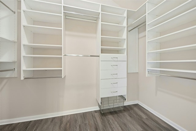 spacious closet featuring dark wood-type flooring