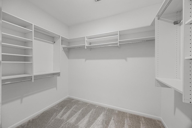 258 Whispering Wind Dr, Georgetown, TX 78633 - walk in closet featuring carpet