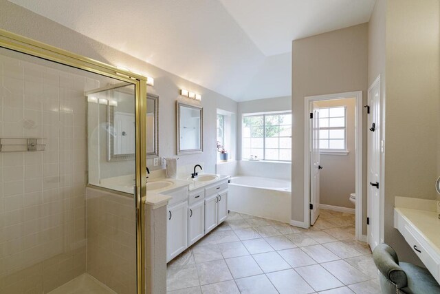 2113 Spring Hollow Path, Round Rock, TX 78681 - full bathroom with a shower stall, double vanity, toilet, and lofted ceiling