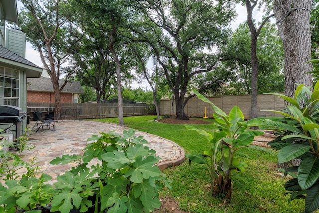 2113 Spring Hollow Path, Round Rock, TX 78681 - view of yard with a patio area
