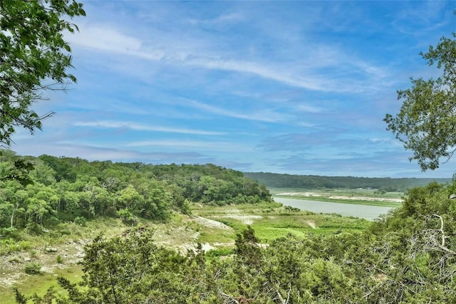 26701 Blue Cove Rd, Marble Falls, TX 78654 - photo 24