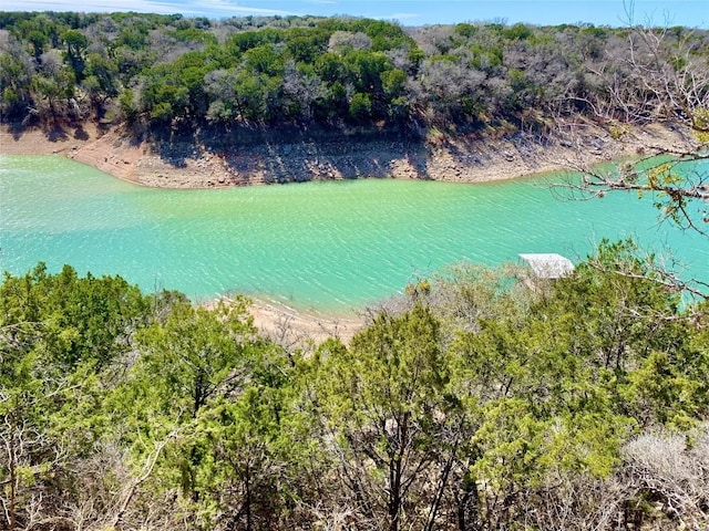 26701 Blue Cove Rd, Marble Falls, TX 78654 - photo 28