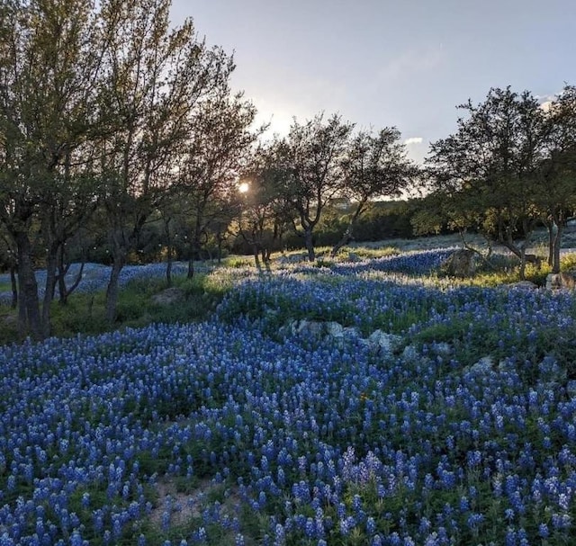 4115 Noon Day Cv, Spicewood, TX 78738 - photo 40