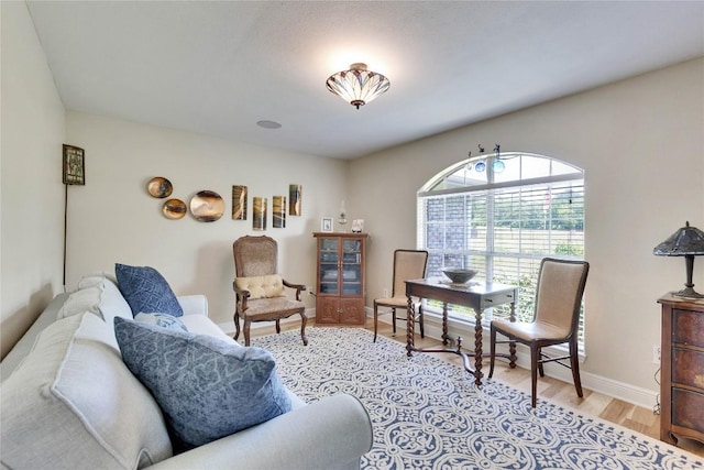 240 2 Mile Ln, Smithville, TX 78957 - office area with light wood finished floors and baseboards