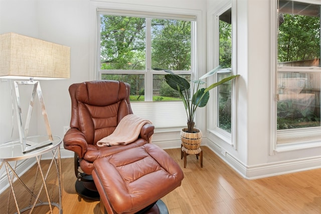 3000 Greenlawn Pkwy, Austin, TX 78757 - living area with baseboards, plenty of natural light, and light wood-style flooring