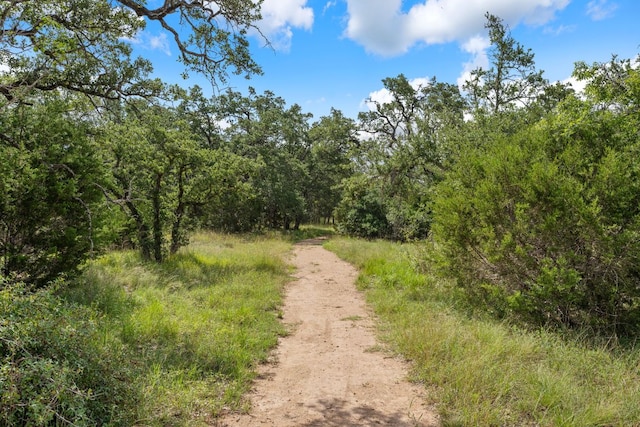 159 Nodena Dr, Dripping Springs, TX 78620 - photo 33